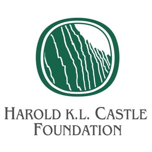 Castle Foundation