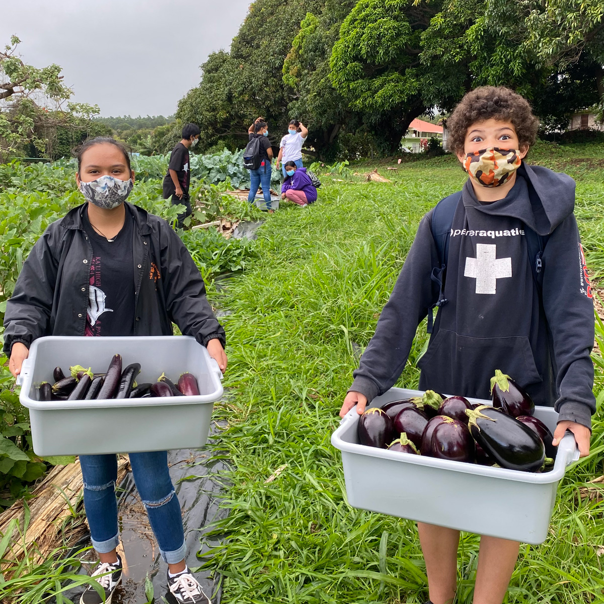 vision-kau-pattern kids holding buckets of eggplants